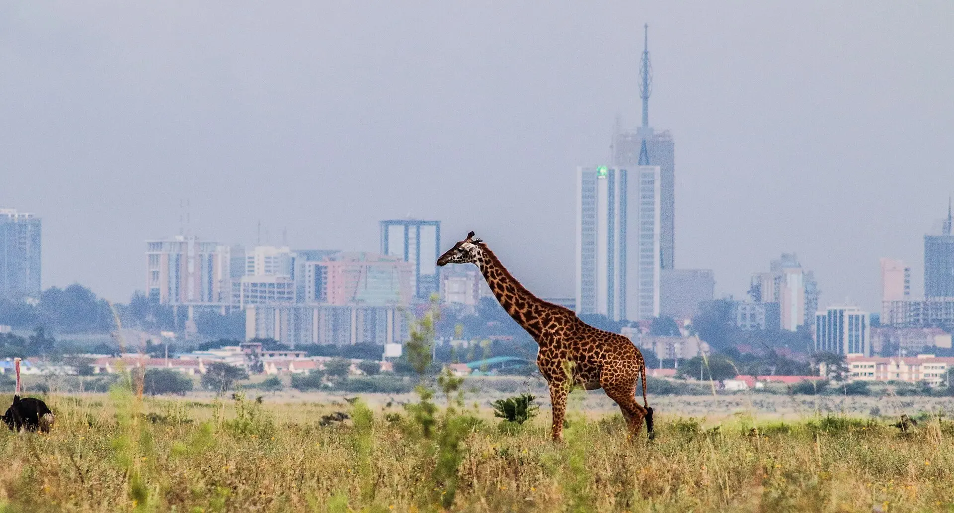 Nairobi
