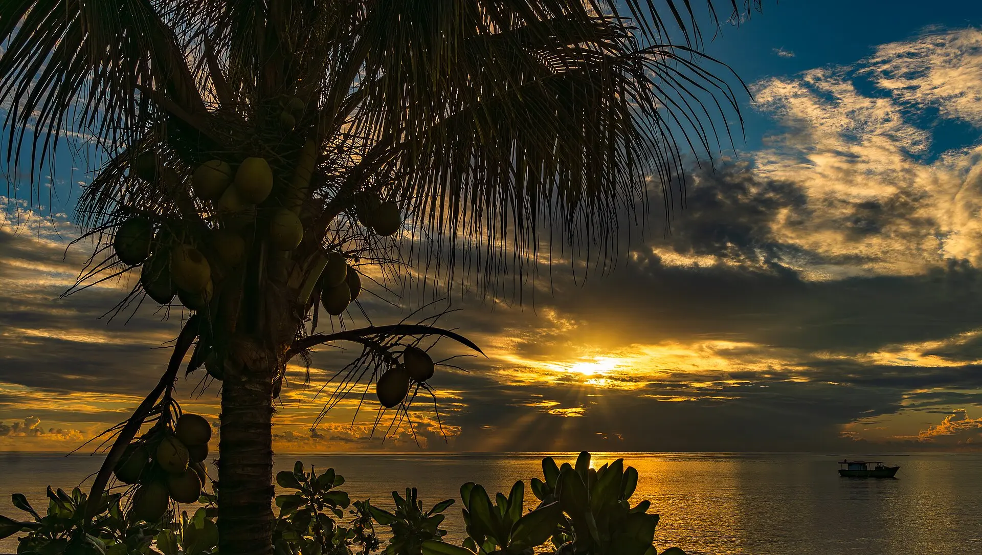 The islands in December